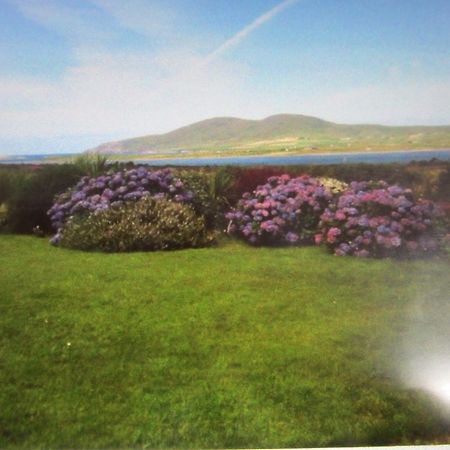 Ocean View B&B Killarney Dış mekan fotoğraf